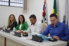 11ª e 12ª Sessões Ordinárias (7 e 21 de julho de 2025)