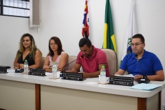 1ª, 2ª e 3ª Sessões Extraordinárias (7 e 26 de março de 2025)